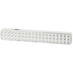 Светильник светодиодный DBA-106-0-20 60LED 6ч IP20 аварийный постоянный/непостоянный Эра Б0044399