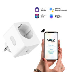 Переходник сетевой (розетка умная) Smart Home 10А 2300Вт IP20 207-253В с заземл. GAUSS 5510122